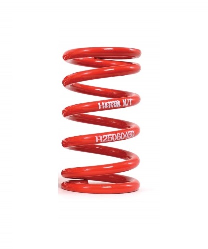 H&R Race Spring R25100100