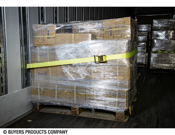 Buyers Products Tie Down E-Track 2Inx12Ftratchet W/ 01075