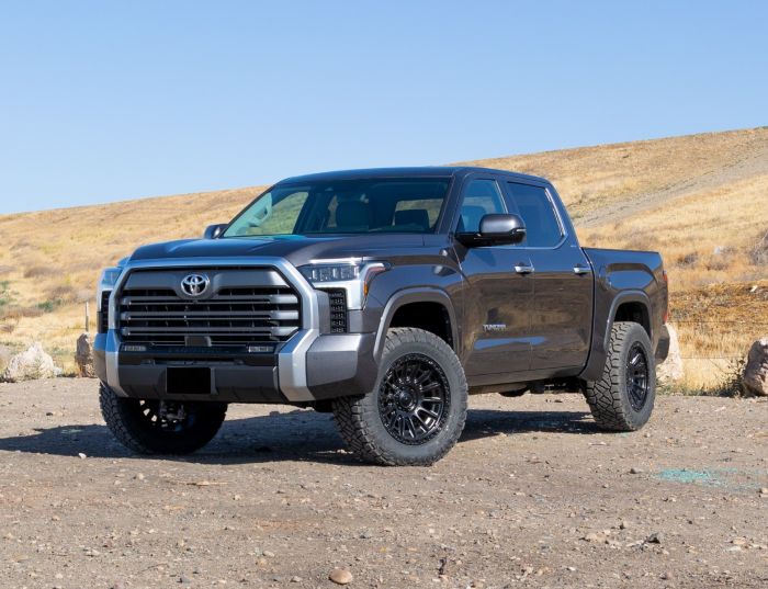 ReadyLift 2'' Sst Lift Kit W/ Diff Drops Equi 6952221