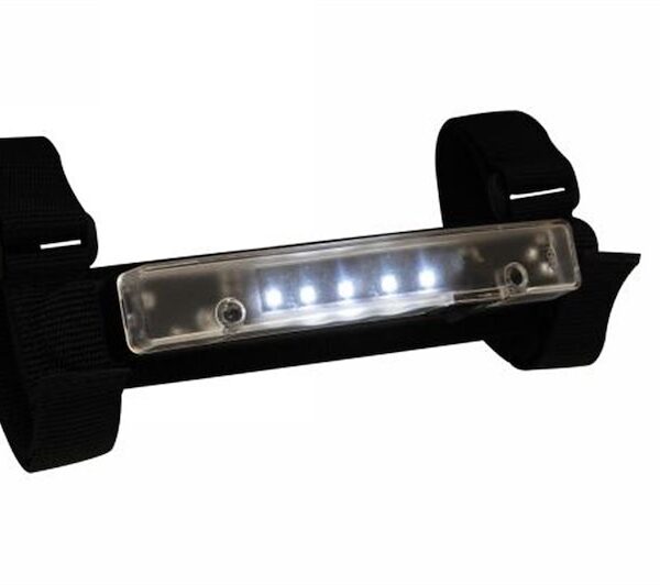 Rampage Interior Light 769801