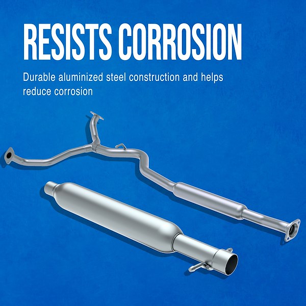 Walker Resonator Assembly-Import 55349