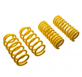 Suspens Tech Springs Mustangs550 15+ W/ Elc Susp 28230072
