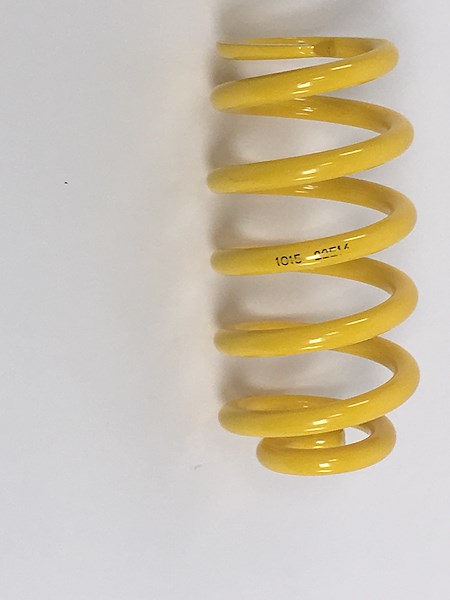 Suspens Tech Rear Coil Spring Audi 03 Replace 60210000