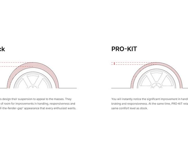 Eibach Pro-Kit Performance Springs (Set Of E108209701