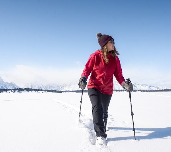 Airhead Yukon Elite Trekking Snow Poles 830149