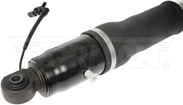 Dorman Magnetic Shock 949705
