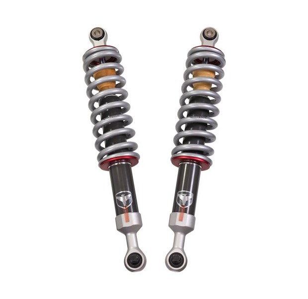 ReadyLift Fordf-150Falcon Shocks 9221440